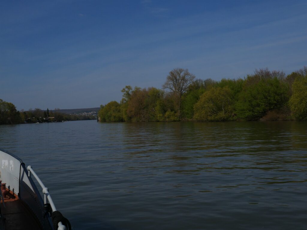 Nos Prestations Meaux Au Fil De L Eau